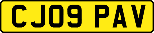 CJ09PAV