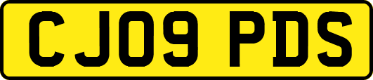 CJ09PDS