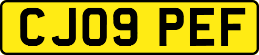 CJ09PEF