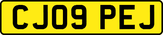 CJ09PEJ