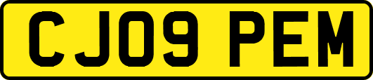 CJ09PEM