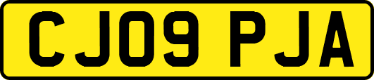 CJ09PJA