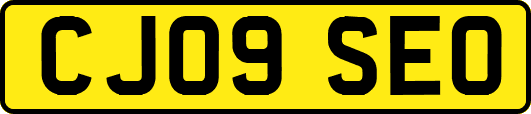 CJ09SEO