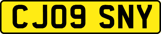 CJ09SNY