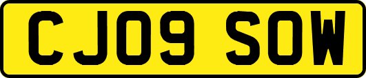 CJ09SOW
