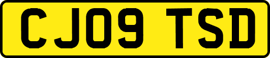 CJ09TSD