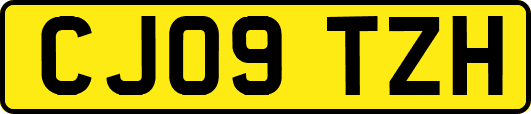 CJ09TZH