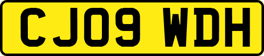 CJ09WDH