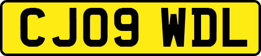CJ09WDL