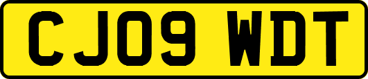 CJ09WDT