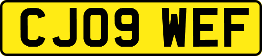 CJ09WEF