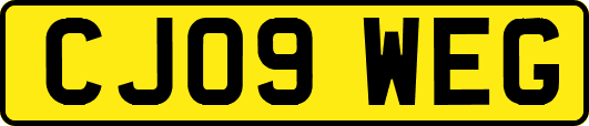 CJ09WEG