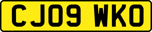 CJ09WKO