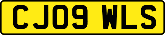 CJ09WLS