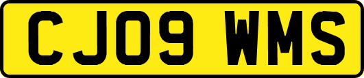 CJ09WMS