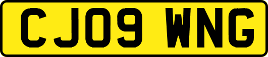 CJ09WNG