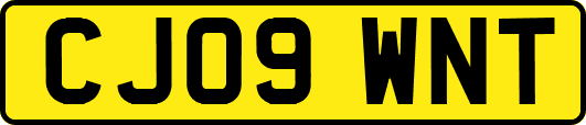 CJ09WNT