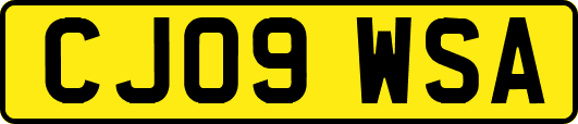CJ09WSA