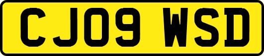 CJ09WSD