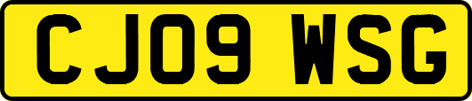 CJ09WSG