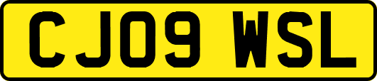 CJ09WSL