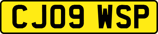 CJ09WSP