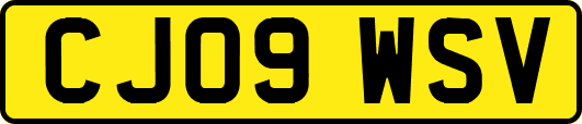 CJ09WSV
