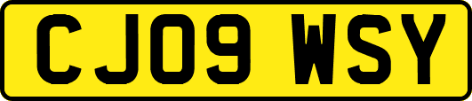 CJ09WSY