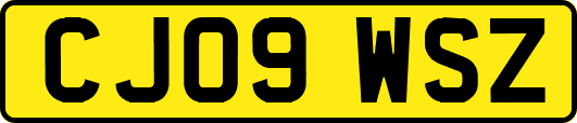 CJ09WSZ