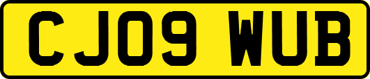 CJ09WUB