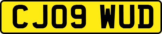 CJ09WUD