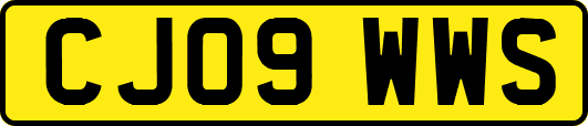 CJ09WWS