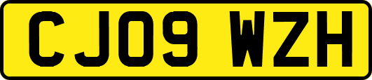 CJ09WZH