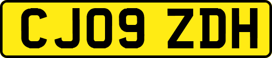 CJ09ZDH