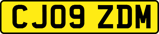 CJ09ZDM