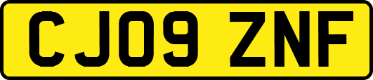 CJ09ZNF