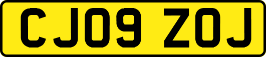 CJ09ZOJ