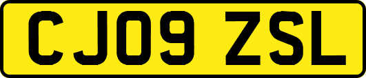CJ09ZSL
