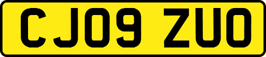 CJ09ZUO