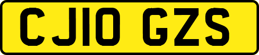 CJ10GZS