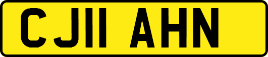 CJ11AHN