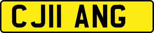 CJ11ANG