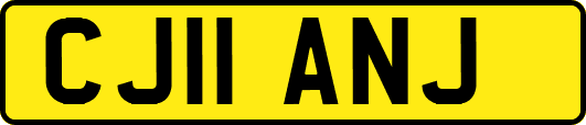CJ11ANJ
