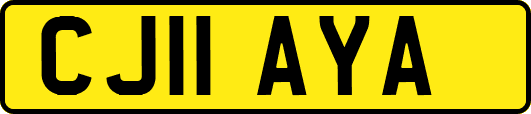 CJ11AYA