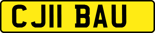 CJ11BAU