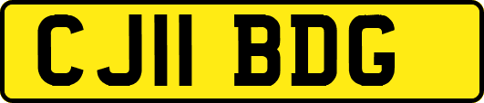 CJ11BDG