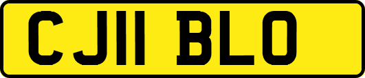 CJ11BLO