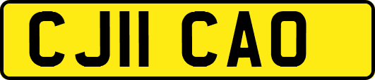 CJ11CAO
