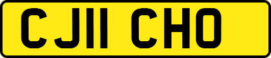 CJ11CHO