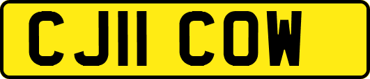 CJ11COW